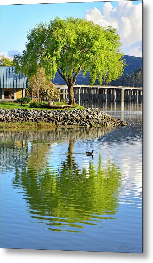 Peaceful Metal Print featuring the photograph At the Lagoon by Richardson Bay by Brian Tada