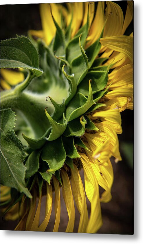 Flower Metal Print featuring the photograph Attention To Detail by Ron Weathers