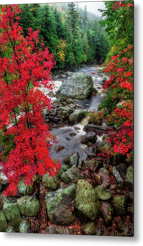 Waterfall Metal Print featuring the photograph Ausable River by Mark Papke