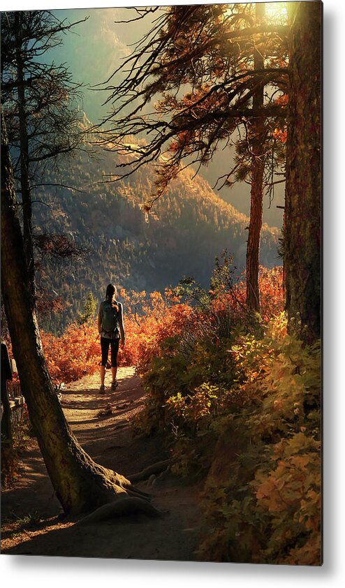  Metal Print featuring the photograph Autumn at Barr Trail by Rob Blair