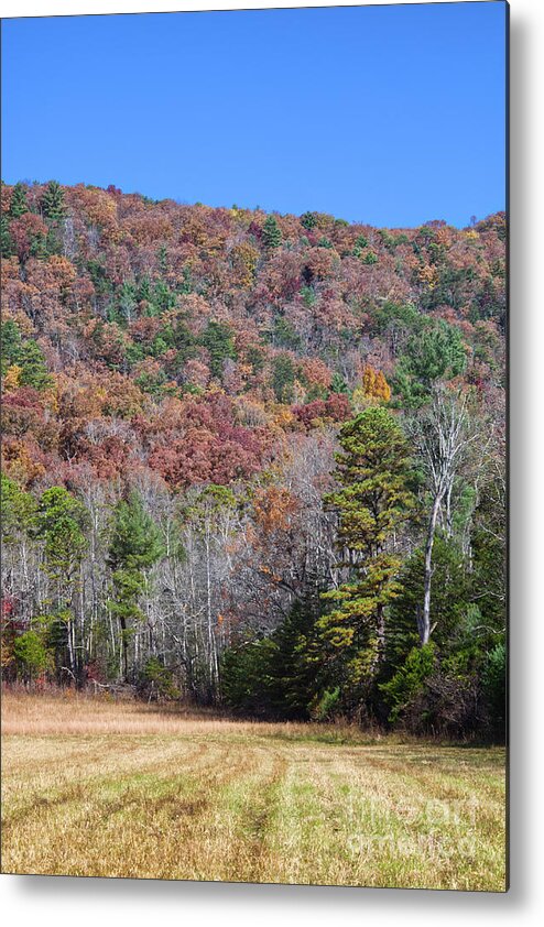 Cades Cove Metal Print featuring the photograph Autumn at Cades Cove 2 by Phil Perkins