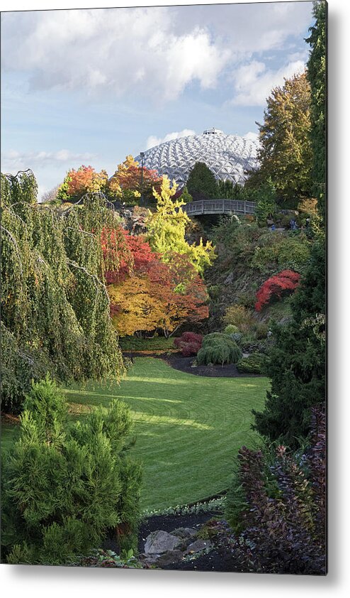 Queen Elizabeth Park Metal Print featuring the photograph Autumn at the Quarry Gardens in QE Park by Michael Russell