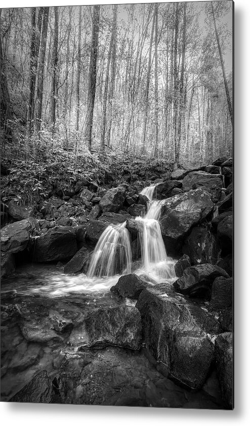 Mountains Metal Print featuring the photograph Autumn Cascades of Amicalola Falls Black and White by Debra and Dave Vanderlaan