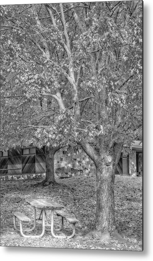 Autumn Metal Print featuring the photograph Autumn Color Palette BW by Susan Candelario