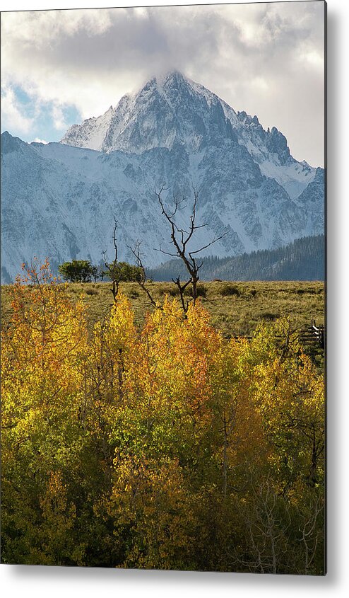Colorado Metal Print featuring the painting Autumn Dreams by Aaron Spong