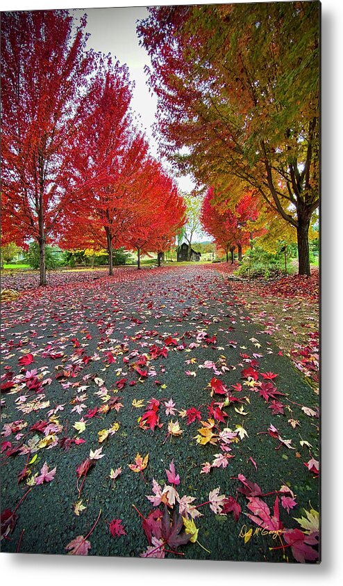 Autumn Metal Print featuring the photograph Autumn Leaves by Dan McGeorge
