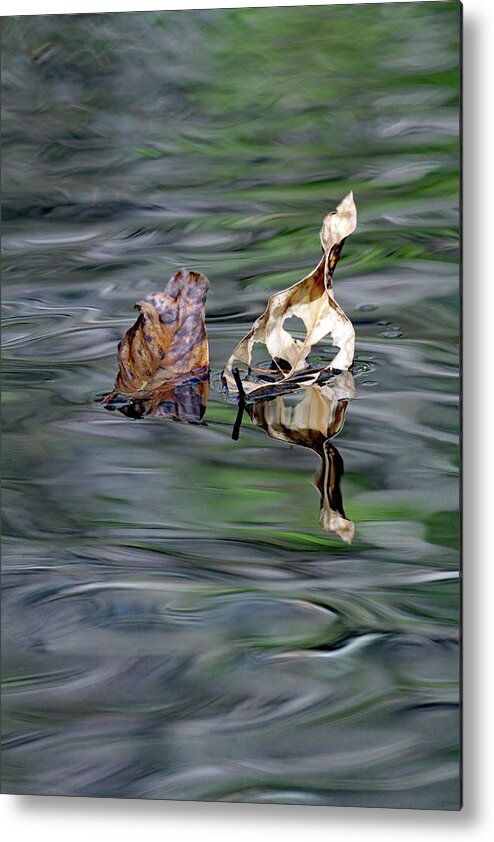 Georgia Metal Print featuring the photograph Autumn Leaves by Jennifer Robin