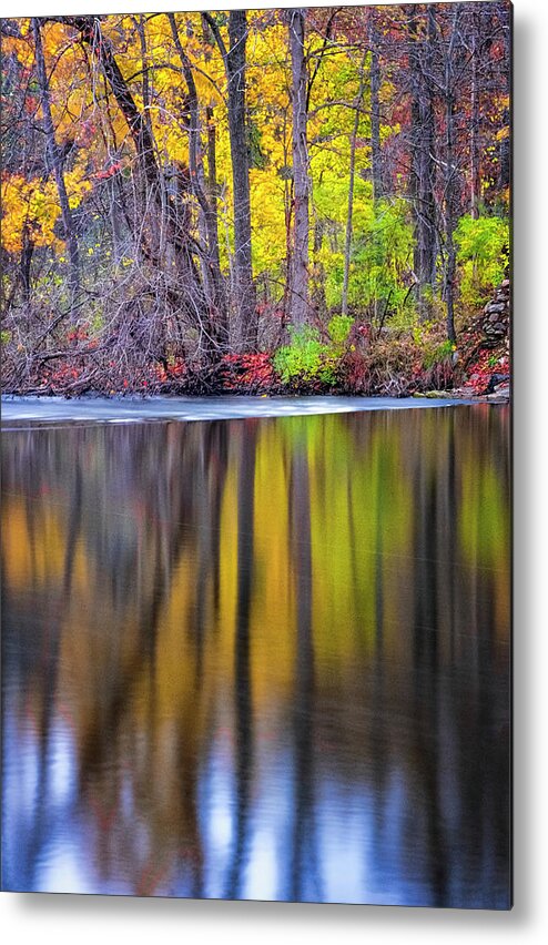 Lake Reflection Metal Print featuring the photograph Autumn Reflection III by Tom Singleton