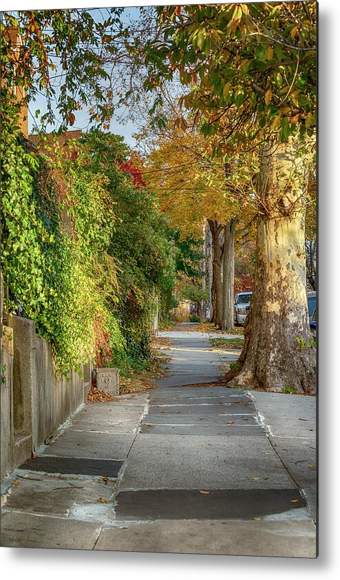 30th Road Metal Print featuring the photograph Autumn Sidewalk by Cate Franklyn