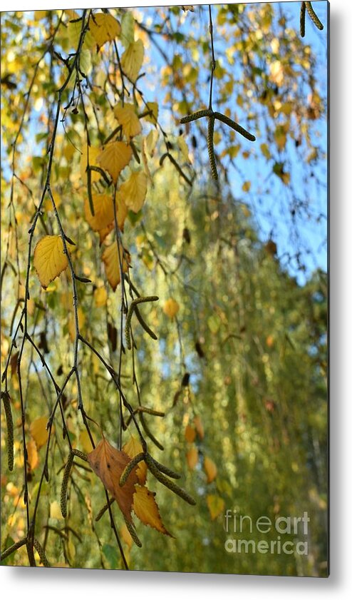 Nature Metal Print featuring the photograph Autumn Symphony Breeze by Leonida Arte