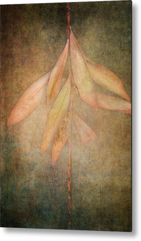 Photography Metal Print featuring the digital art Autumn Textured Leaves by Terry Davis
