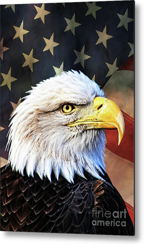 Bald Eagle Metal Print featuring the photograph Bald Eagle with Flag by Tom Watkins PVminer pixs