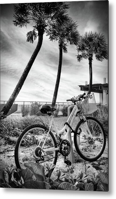 Black Metal Print featuring the photograph Beach Bike in the Morning Glories Black and White by Debra and Dave Vanderlaan