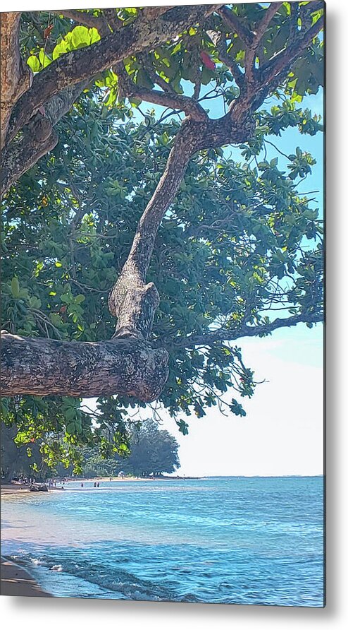 Hawaii Metal Print featuring the photograph Beach Shade by Tony Spencer