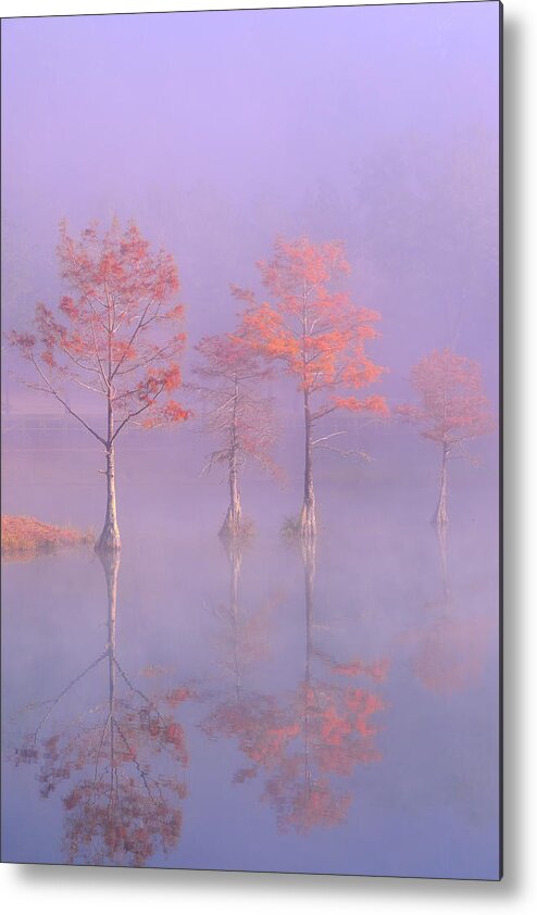 Beavers Bend State Park Metal Print featuring the photograph Beavers Bend Foggy Morning by Robert Bellomy