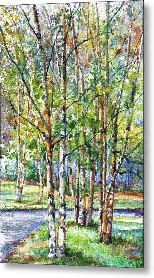 Birch Trees Metal Print featuring the painting Birch Trees by Patricia Allingham Carlson