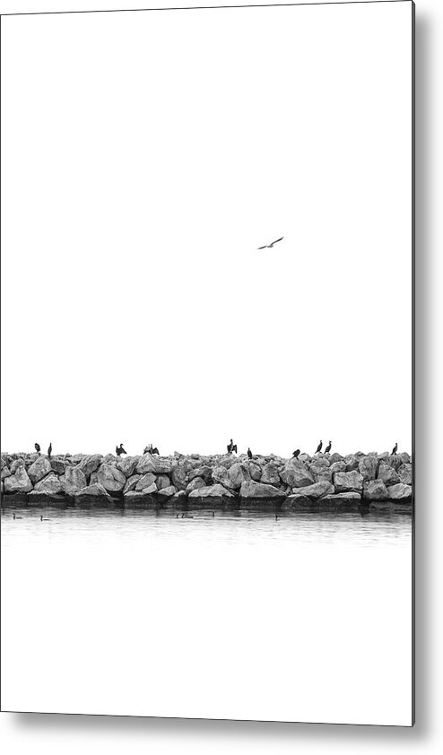 Breakwater Metal Print featuring the photograph Birds on a Breakwater in Black and White by Alexios Ntounas