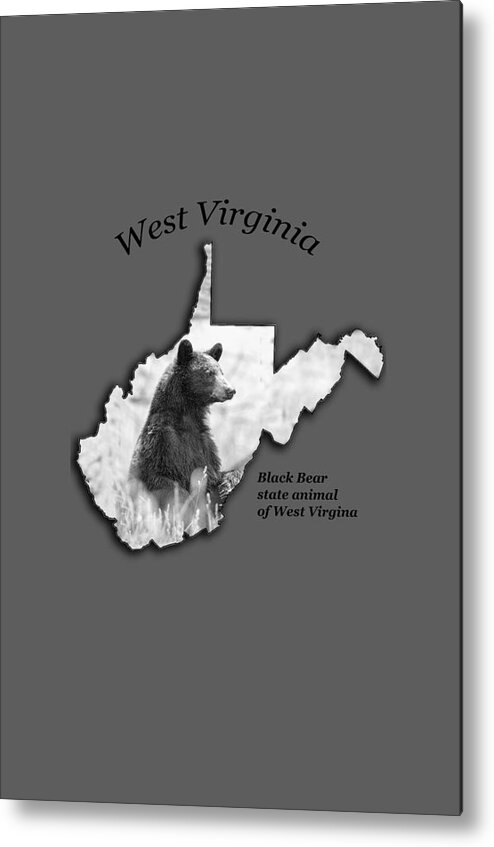 Black Bear Metal Print featuring the photograph Black Bear WV state animal by Dan Friend
