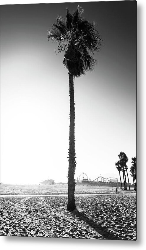 Palm Trees Metal Print featuring the photograph Black California Series - Santa Monica Palm Tree by Philippe HUGONNARD