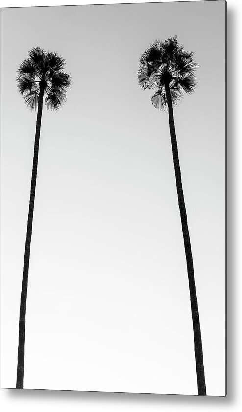 Palm Trees Metal Print featuring the photograph Black California Series - Two Palm Trees by Philippe HUGONNARD