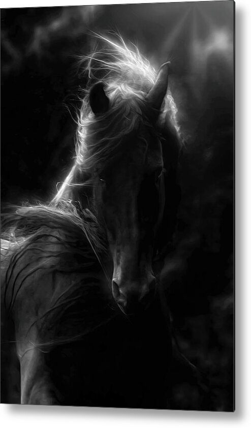 Black Magic Metal Print featuring the photograph Black Magic by Wes and Dotty Weber