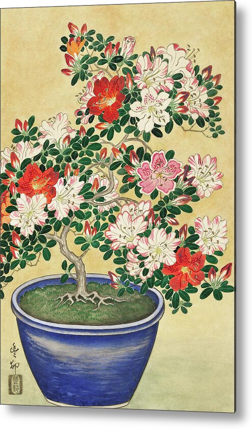 Azalea Metal Print featuring the painting Blooming azalea in blue pot by Ohara Koson