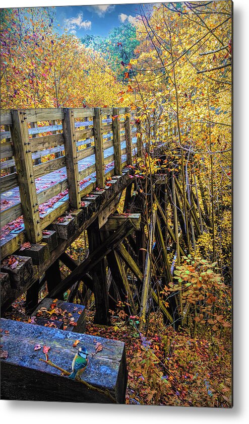 Bird Metal Print featuring the photograph Blue Bird on the Autumn Trestle Creeper Trail Damascus Virginia by Debra and Dave Vanderlaan