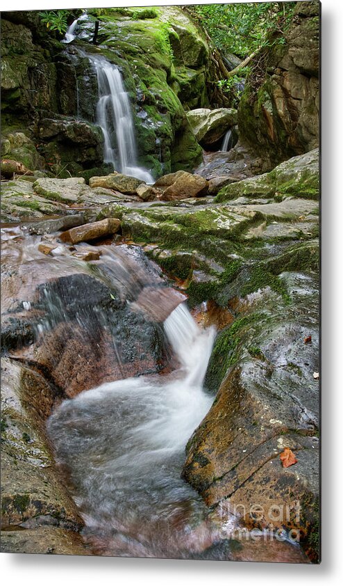 Nature Metal Print featuring the photograph Blue Hole Falls 15 by Phil Perkins