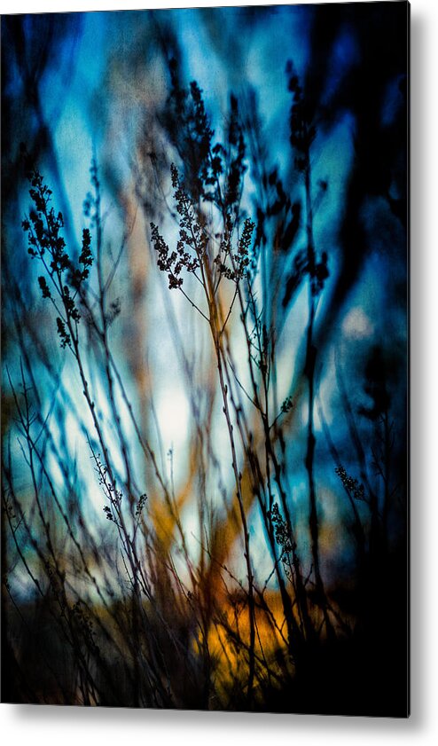 Plant Metal Print featuring the photograph Blue mood by Yasmina Baggili