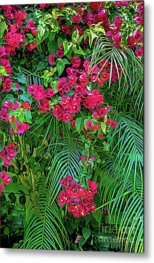 Bougainvillea Metal Print featuring the photograph Bougainvillea with Palm Fronds-I by Roslyn Wilkins