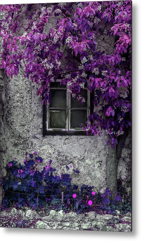 Girls Bedroom Metal Print featuring the photograph Bright Purple Vines by Brooke T Ryan