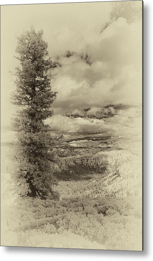 Bryce Metal Print featuring the photograph Bryce Canyon Overlook by Jim Cook