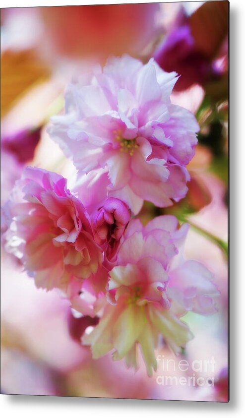 Botanical Metal Print featuring the photograph Bunches of Blossoms by Venetta Archer