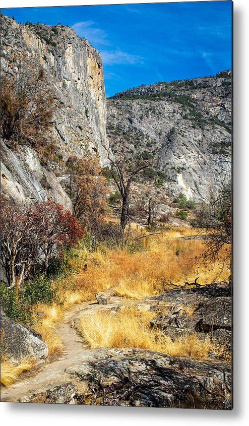 Hiking Metal Print featuring the photograph By The Way by Stephen Sloan