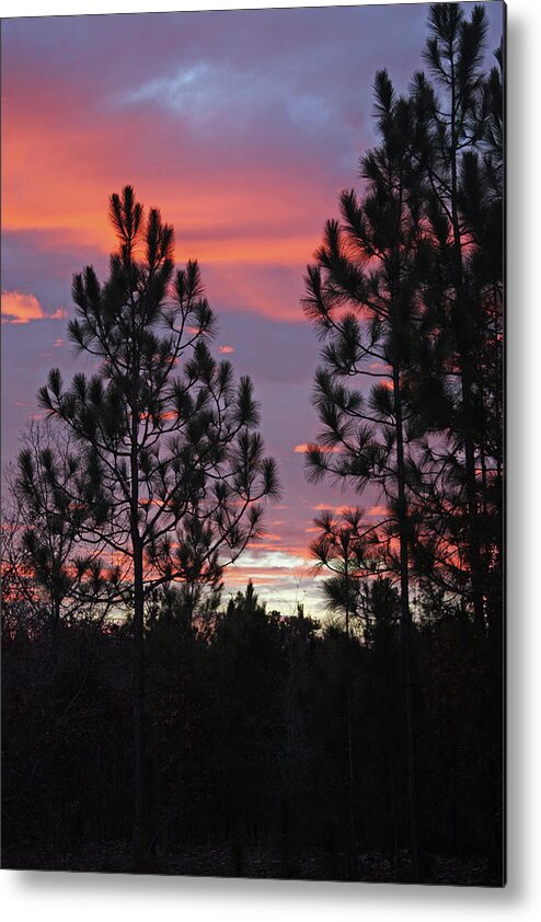 Sunset Metal Print featuring the photograph Carolina Sunset 4592 by Carolyn Stagger Cokley