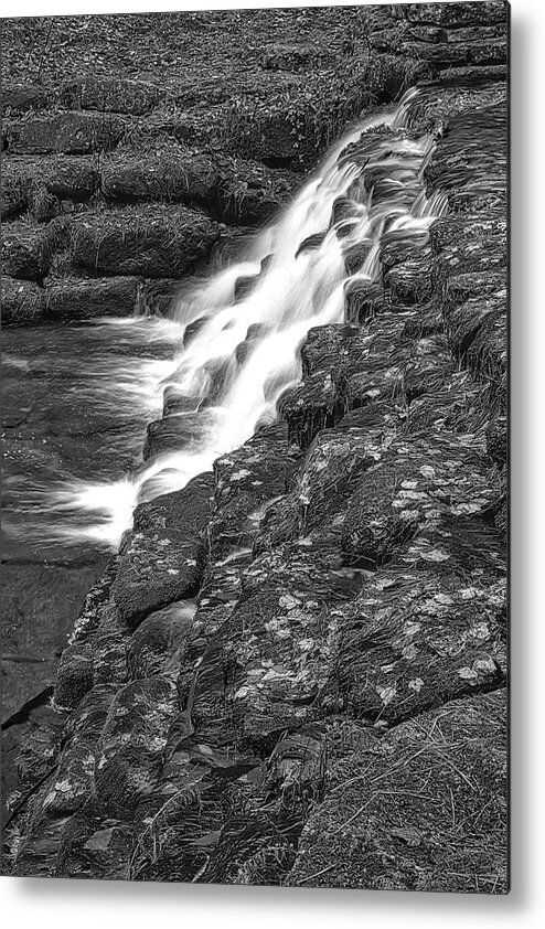 Waterfall Metal Print featuring the photograph Cascade And Fall Foliage BW by Susan Candelario