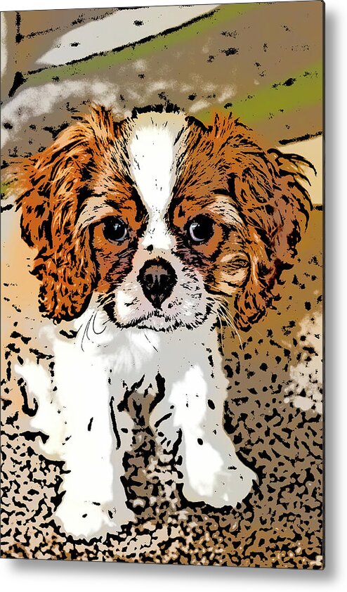 Cavalier King Charles Spaniel Metal Print featuring the photograph Cavalier Puppy by Tanya C Smith