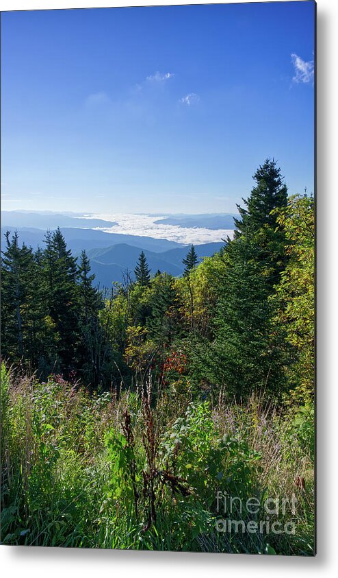 Clingmans Dome Metal Print featuring the photograph Clingmans Dome 18 by Phil Perkins