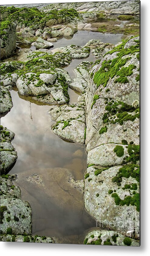 Rocks Metal Print featuring the photograph Clouds in Reflection by Theresa Fairchild