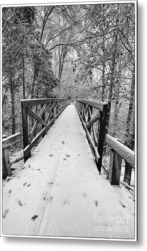 Green Bay Metal Print featuring the photograph Cofrin Memorial Arboretum Walkway Bridge in Snow by Nikki Vig