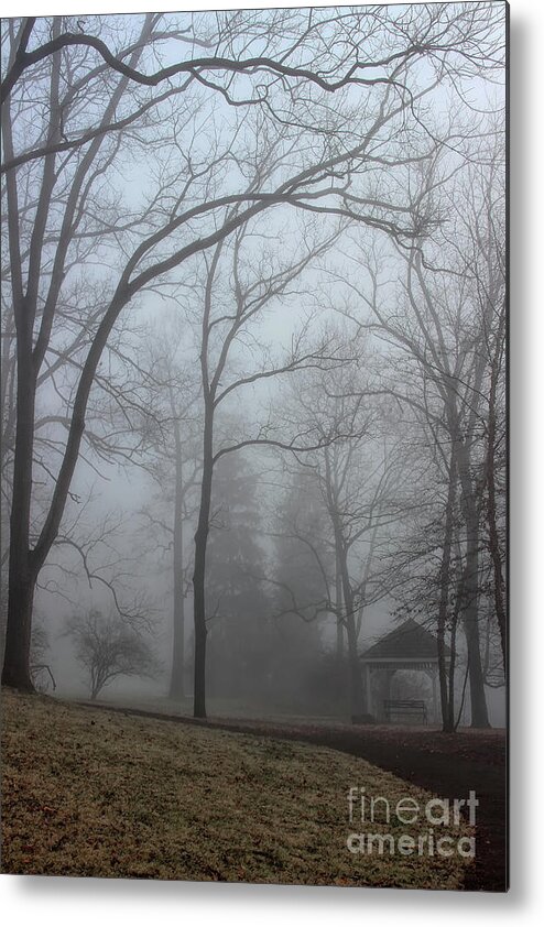 Winter Metal Print featuring the photograph Come Sit in Silence by Karen Adams