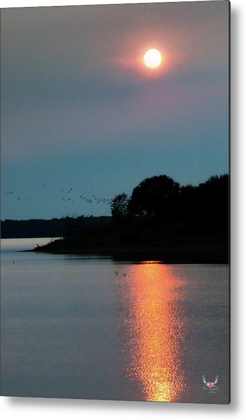 Sunset Metal Print featuring the photograph Coming Home to Roost by Pam Rendall