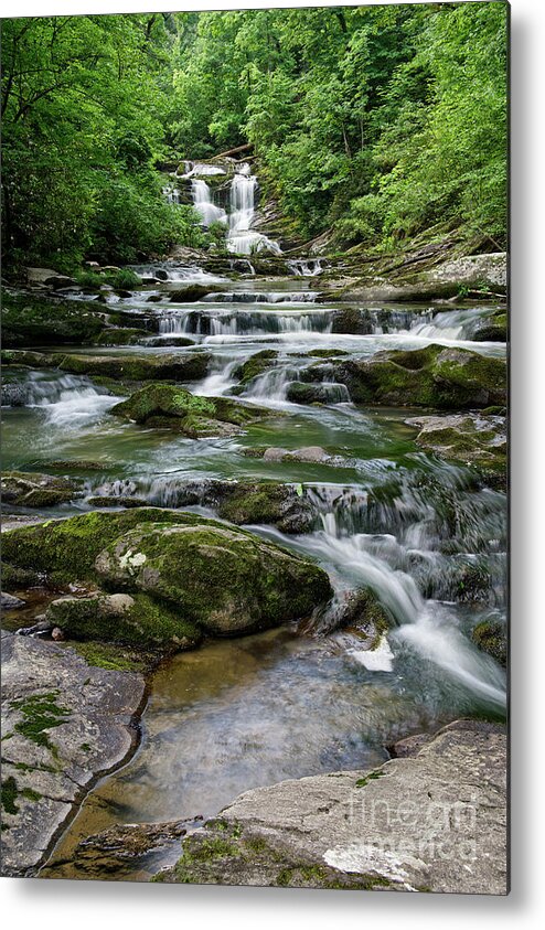 Conasauga Falls Metal Print featuring the photograph Conasauga Waterfall 18 by Phil Perkins