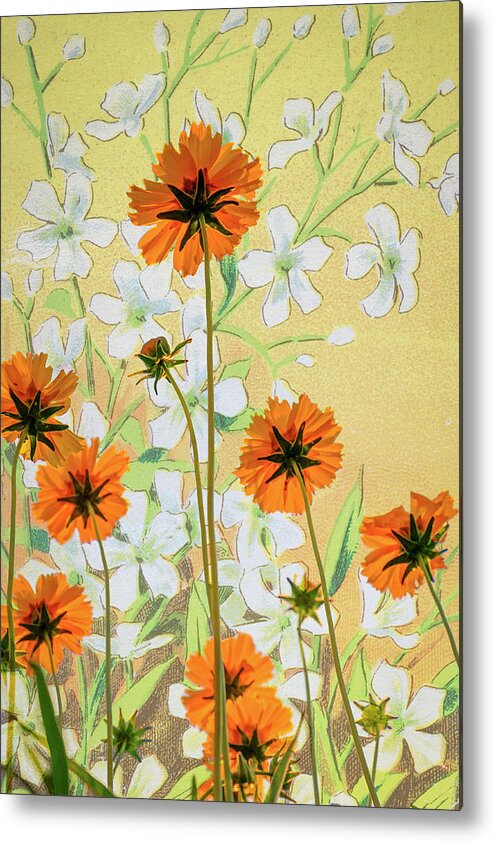 Flora Metal Print featuring the photograph Coreopsis with French Gypsophile Blanc by Mary Lee Dereske