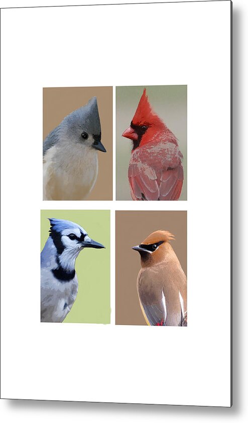 Birds Metal Print featuring the mixed media Crested Birds by Judy Cuddehe