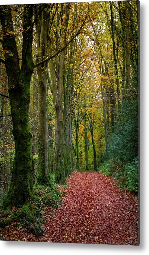 Stone Arch Metal Print featuring the photograph Curraghchase walkways by Mark Callanan