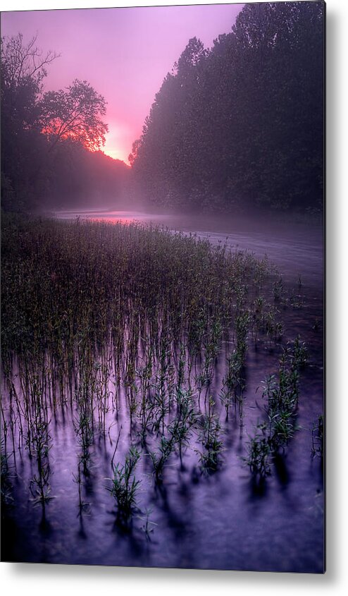 2012 Metal Print featuring the photograph Dawn Mist by Robert Charity