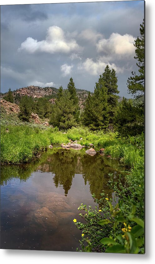  Metal Print featuring the photograph Deer Creek by Laura Terriere