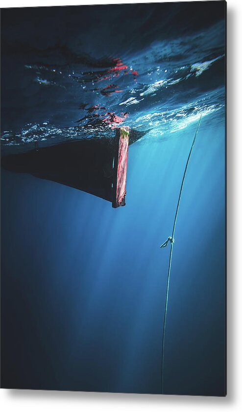 Dive Metal Print featuring the photograph Descending by Sina Ritter