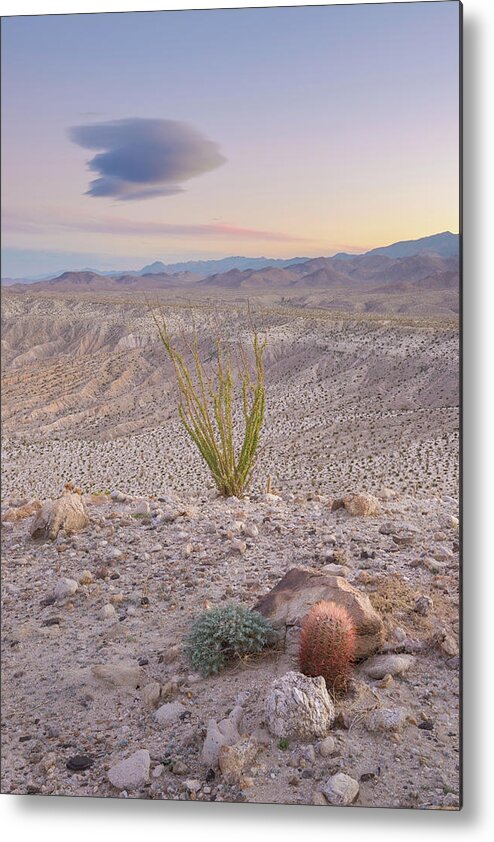 Desert Metal Print featuring the photograph Desert Twilight Constellation by Alexander Kunz